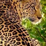 Daniel Valter - @daniel.valter.9212 - Instagram