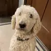 vanbrocklindaniel - @vanbrocklindaniel - TikTok