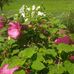 Danny Vanbuskirk - Facebook