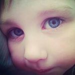 Daniel Vandergriff - @hondadanielv - Instagram