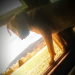 Danielle Vandermark - @danielle.vandermark.92 - Instagram