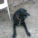 Daniel Vanderpool - Facebook