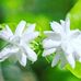 Daniel Varghese - Facebook