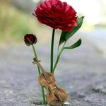Daniel Varghese - @daniel.varghese.9655 - Instagram