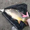 daniel_vasek - @daniel_vasek_ryby - TikTok