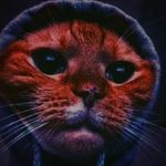 Daniel Veal - @da_boykie - Instagram