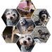 Daniel Verdon - Facebook