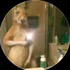 no lo se - @danielverdugo38 - TikTok