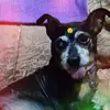 Daniel Vernal - @danielvernal7 - TikTok
