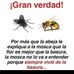 Daniel Veronesi - Facebook
