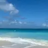 danielleverrier - @danielleverrier - TikTok