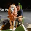 DanTheMan - @daniel.veselka - TikTok