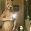 Daniel Vespa - @modo_incognito24 - TikTok