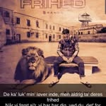 Daniel Vestergaard - @daniel_vestergaaard - Instagram