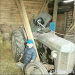 Daniel Vestergaard - @daniel_vestergaard69 - Instagram
