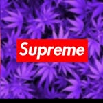 daniel - @danielvialls - Instagram