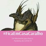 Daniel Vicente Costa Vicari - @daniel.v.vicari - Instagram