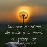 Daniel Vicario - @danielvicario43 - Instagram