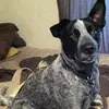 danielvick412 - @danielvick412 - TikTok
