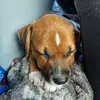 danielvick833 - @danielvick833 - TikTok
