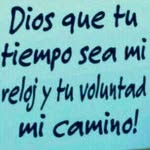 daniel vicuña - @danielvicu62 - Instagram