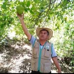 Daniel vicuña - @daniel542742 - Instagram