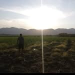 Daniel Vidales - @vidales598 - Instagram