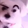 No - @daniel_vidales - TikTok