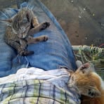 Daniel Vidana Leon - Facebook