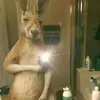 Daniel Videa - @daniel.videa1 - TikTok