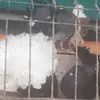 Daniel Vidican - @daniel.vidican - TikTok