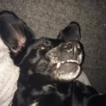 Daniel Vidmark - @danielvidmark - Instagram