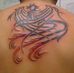 Daniel Vidoto - Facebook