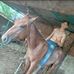 Daniel Vielman - Facebook