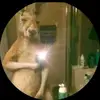 Daniel Viera❤️‍🔥❤️‍🔥 - @danielviera8487 - TikTok