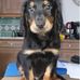 Daniel Vierling - Facebook