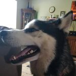 Daniel vierra - @daniel0126_ - Instagram