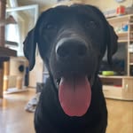 Daniel Vieth - @daniel_vieth2 - Instagram