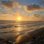 Daniel Viets - @daniels_oasis_ - Instagram