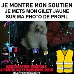 Daniel Vigerie - @danielvigerie - Instagram