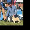 Daniel Viggiano - @daniel.fernando.v4 - TikTok