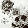 Daniel Vigliotti - @danielvigliotti - TikTok