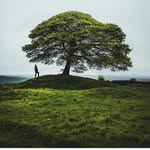 Vicky Vignesh - @daniel_vignesh1 - Instagram