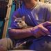Dan Viles - Facebook