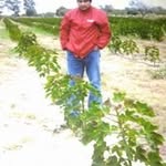 Daniel Villafañe - @daniel.villafane.399 - Instagram