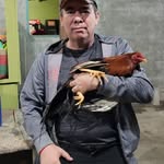 Daniel Villeda - @daniel.villeda.547 - Instagram