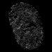 Daniel Vinay - Facebook
