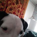 Daniel Vinyard - @dpv0222 - Instagram