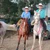 daniel _vi_ra - @daniel_vi_ra - TikTok