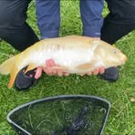 Daniel Farrant - Facebook